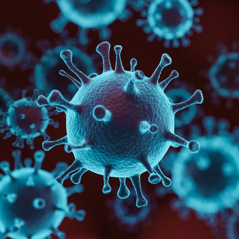 Microscopic virus illustration representing infection-control expertise